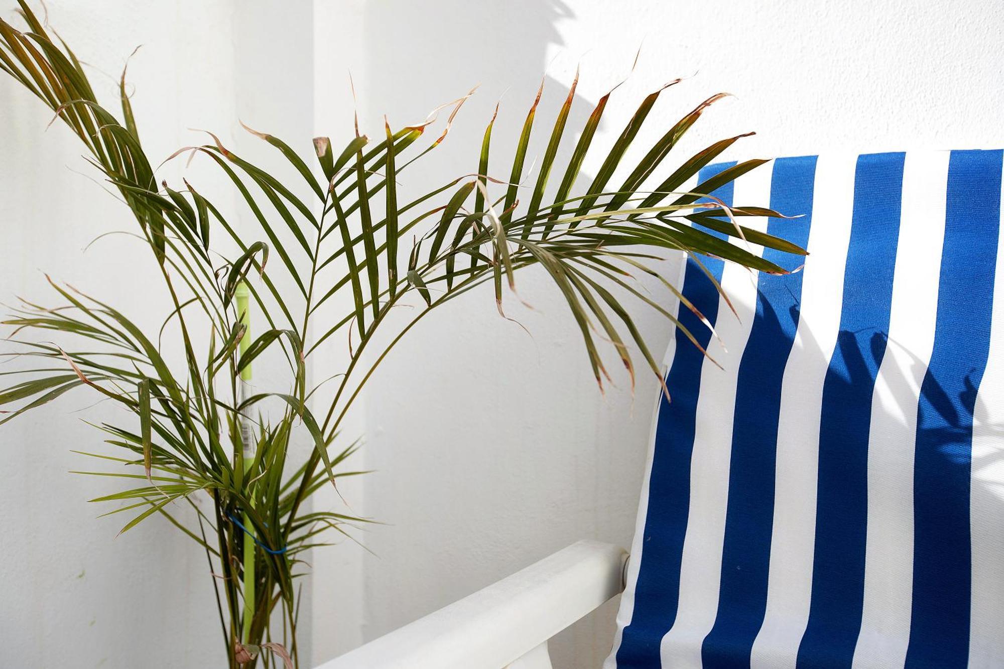 Apartamento La Caleta La Cala De Mijas Exterior foto